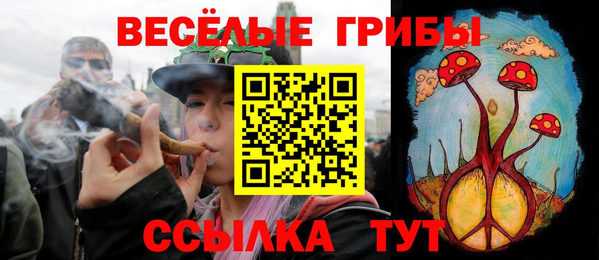 Наро-Фоминск  Псилоцибиновые грибы GOLDEN TEACHER  купить  цена  Вход с VPN  Псилоцибиновые грибы Magic Shrooms 